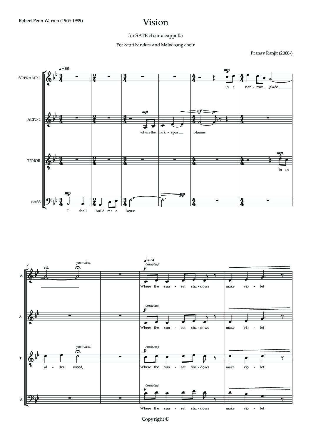 Vision-SATB