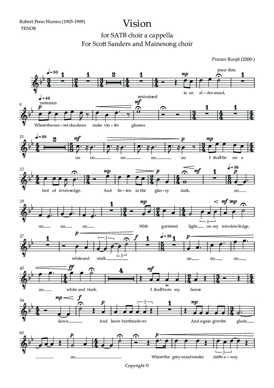 Vision-TENOR